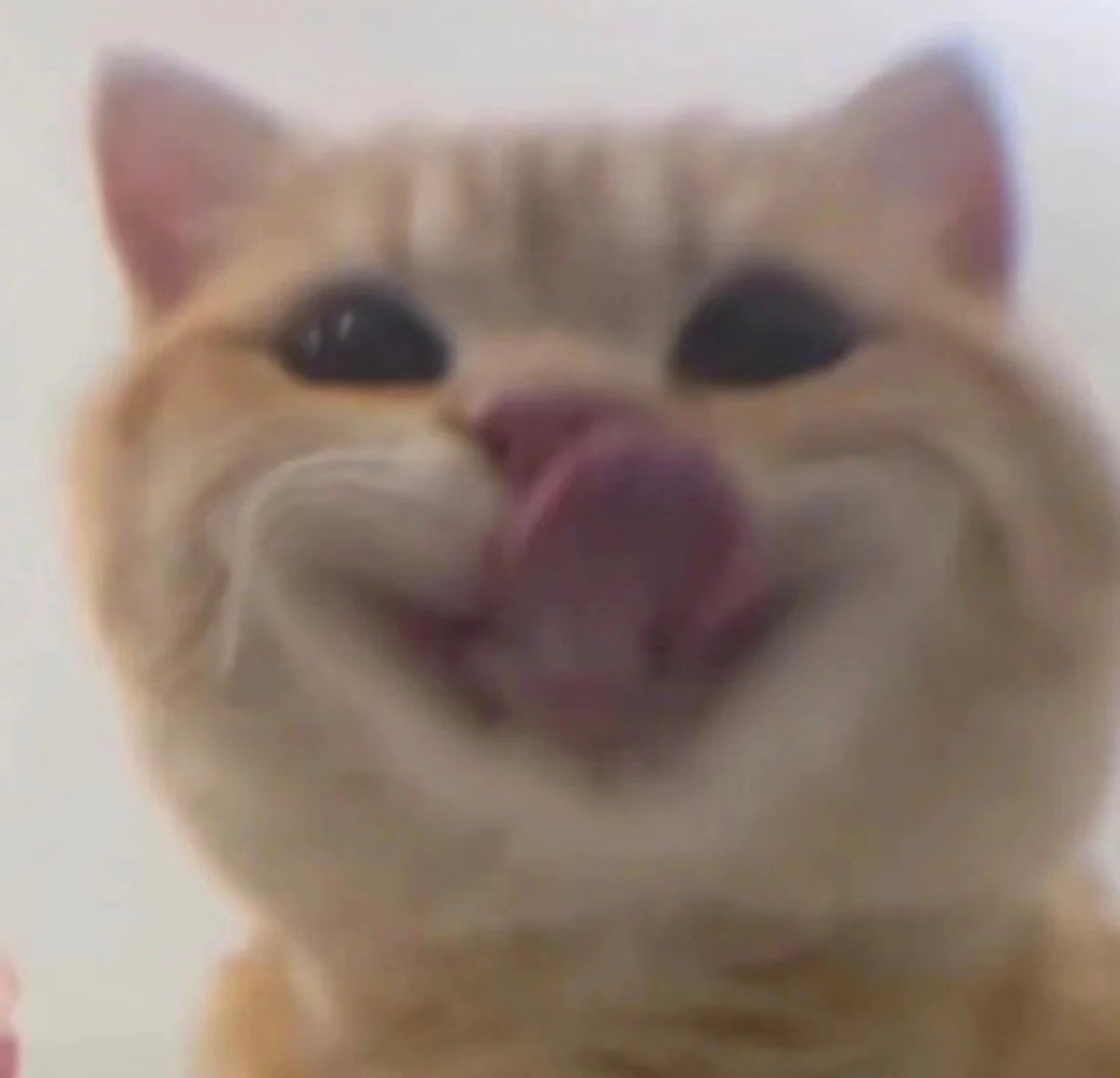 是嘛是嘛 