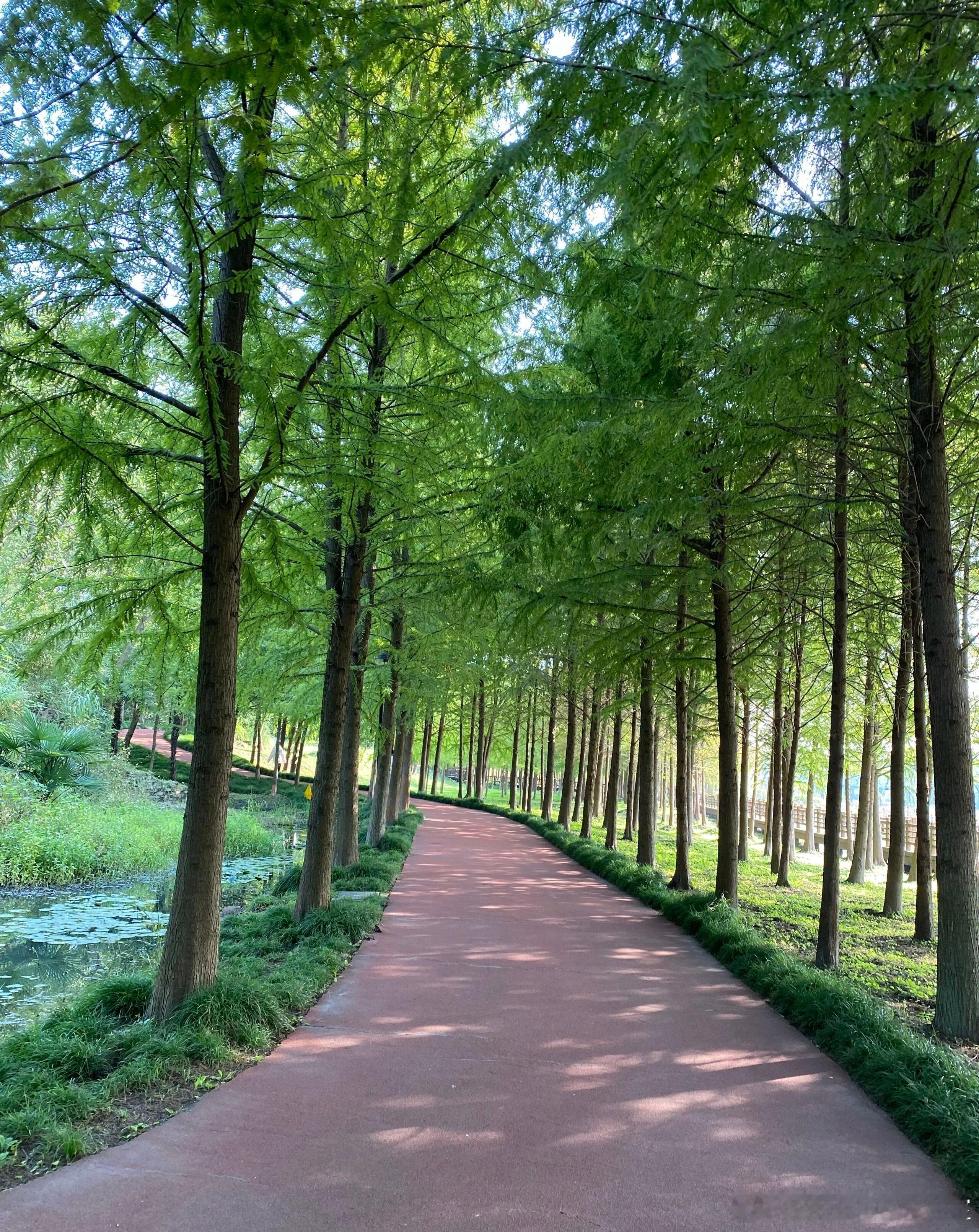 【对赌签给谁？记住这个优先顺序】直接决定你的钱安不安全、条款能不能执行。核心就三