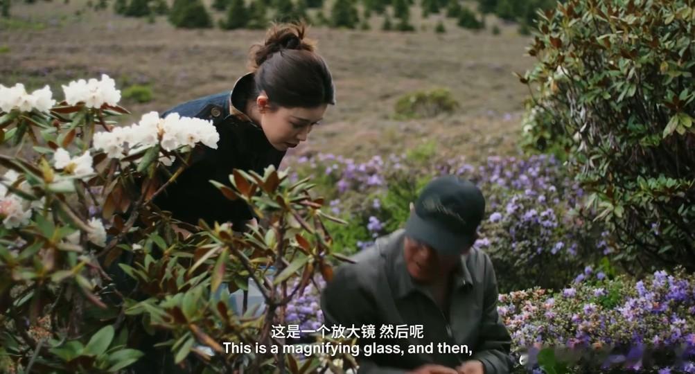文咏珊和香格里拉的适配度 从憧憬秘境到沉浸式拥抱自然，文咏珊走完了温柔的探索弧线