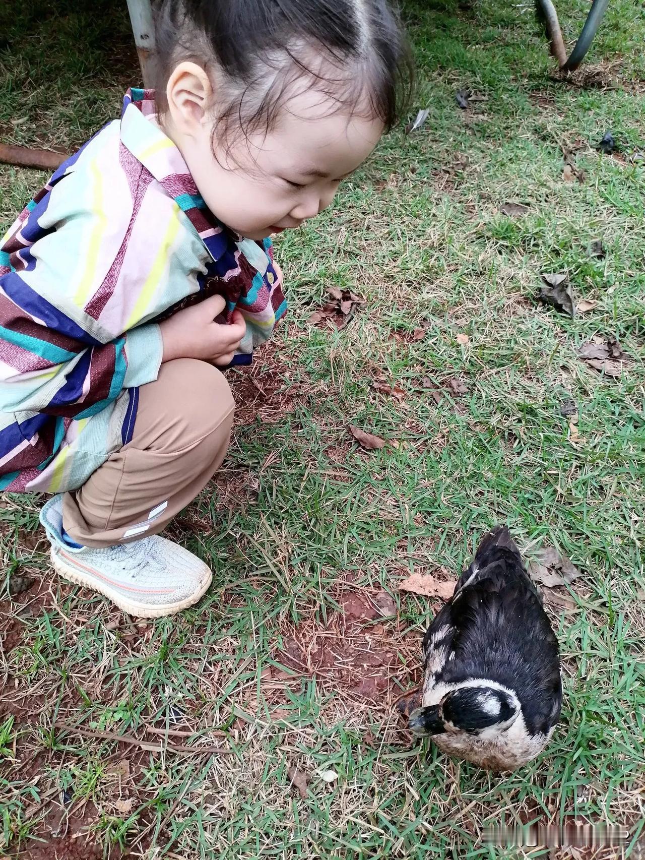 开始进料了！

找了海口不太大的一家建材市场，为户外地面和院墙选两样石材，墙的面