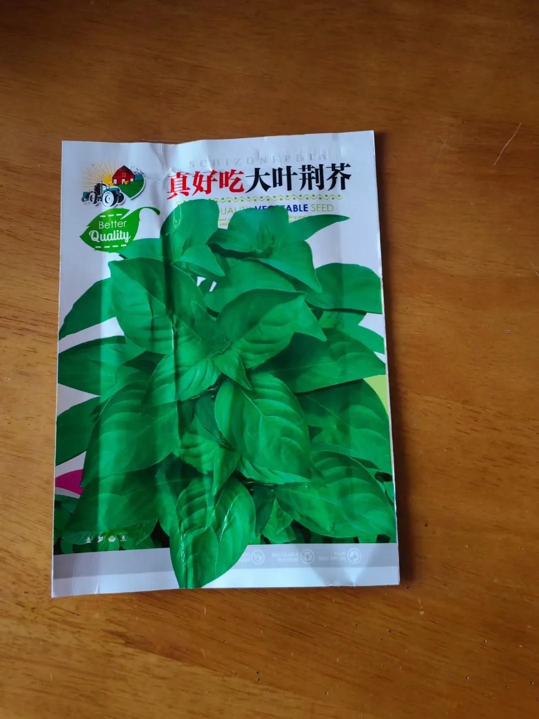 为了吃上美味的荆芥，我还是买一袋种子，种一些，虽然现在种荆芥有点晚，但还是试试，