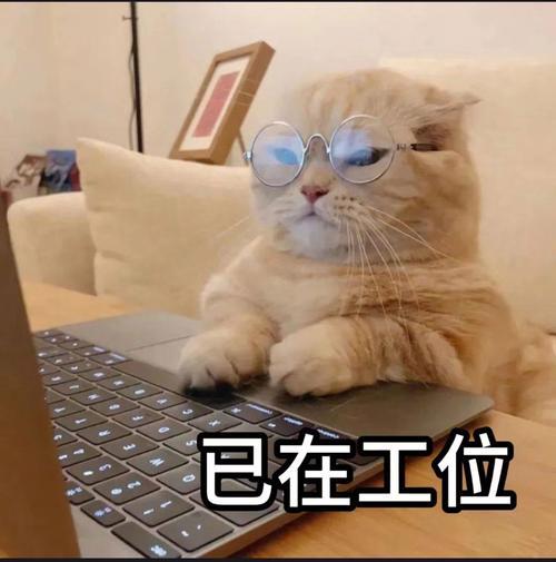 当代打工人终极理想，在广东实现了！广东小伙上班摸鱼打游戏拿下市级排名广东工程师用