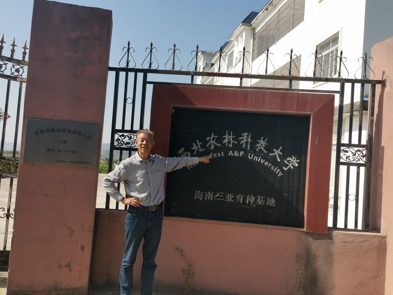 自驾海南之旅49——环岛第11站 崖州区
 
五次踏足三亚，三次专程前往位于崖州