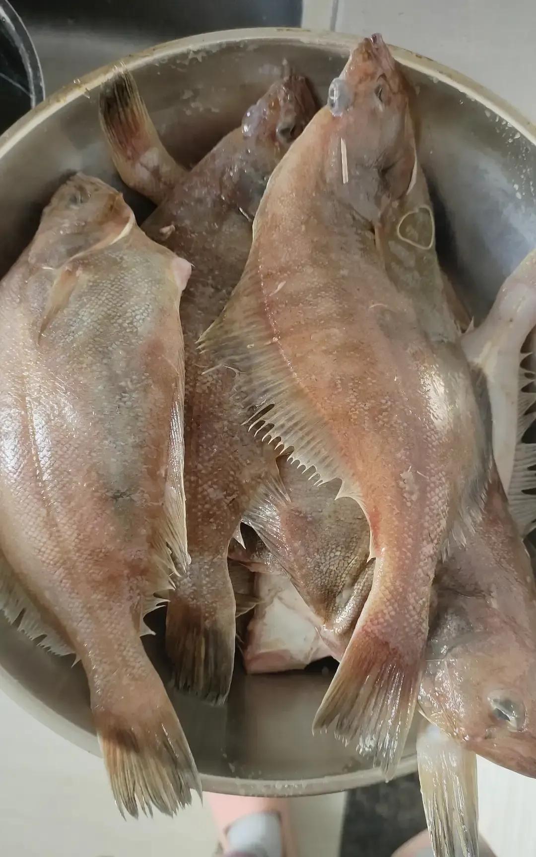 青岛海泊桥早市偏口鱼从十块飙到十三，八带两斤十七，小章鱼四十四一盒还缩水，摊主一