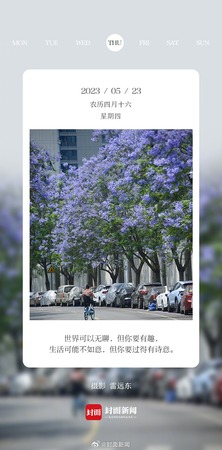 #小封日历# 早安，周四啦！今天叫醒你的是_____？[发芽] ​​​