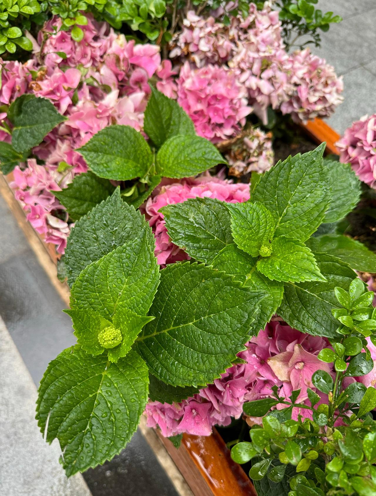 下雨天☔️  ​​​