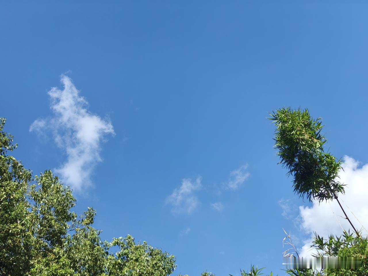 老年大学又开学了！眼瞅着我旁边那个同学，脸上怎么苍蝇屎一样脏兮兮的呢？！

不好