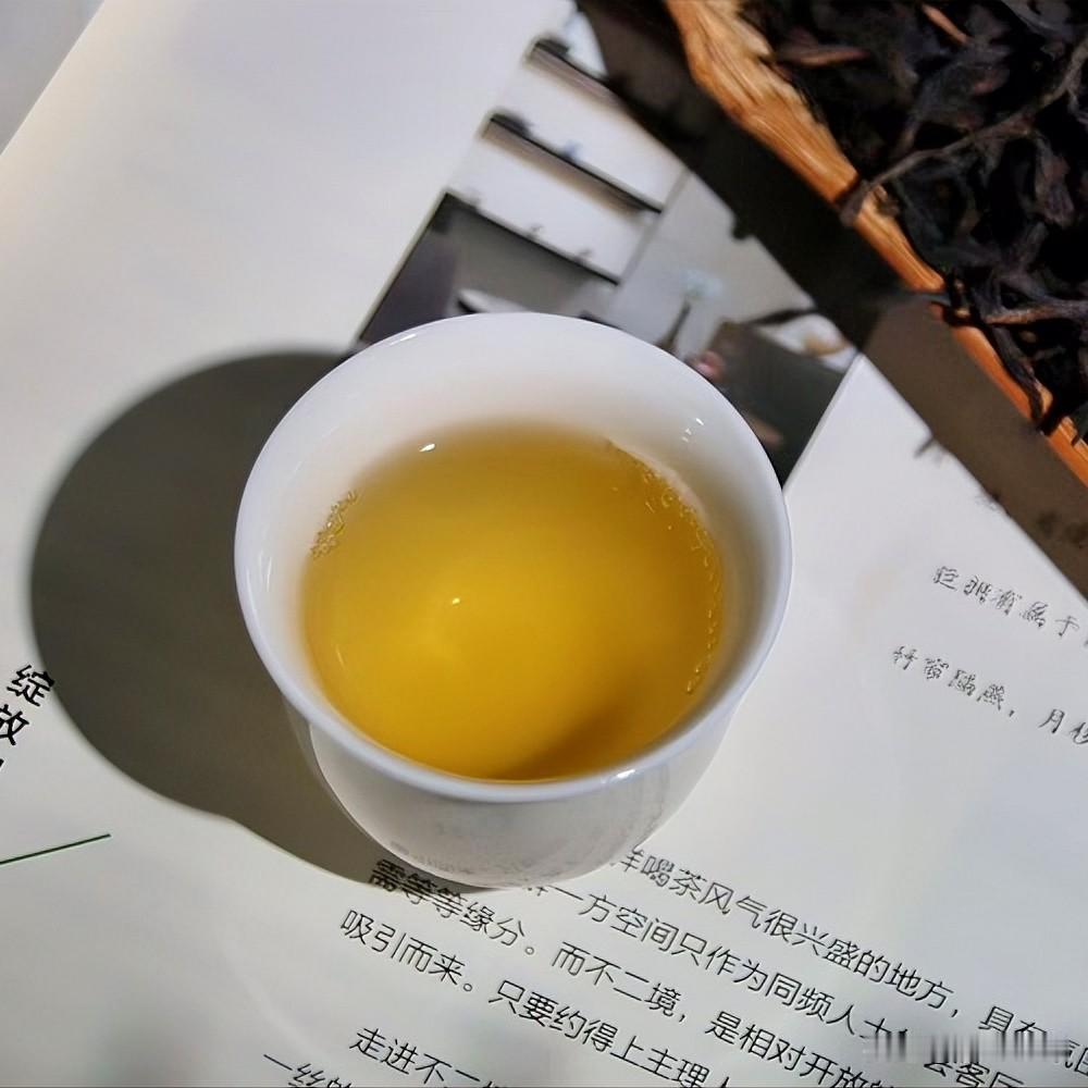 普洱茶为何贵生不贵熟?

在这个世界上，请你喝酒的人很多，
但愿意为你静下心来泡