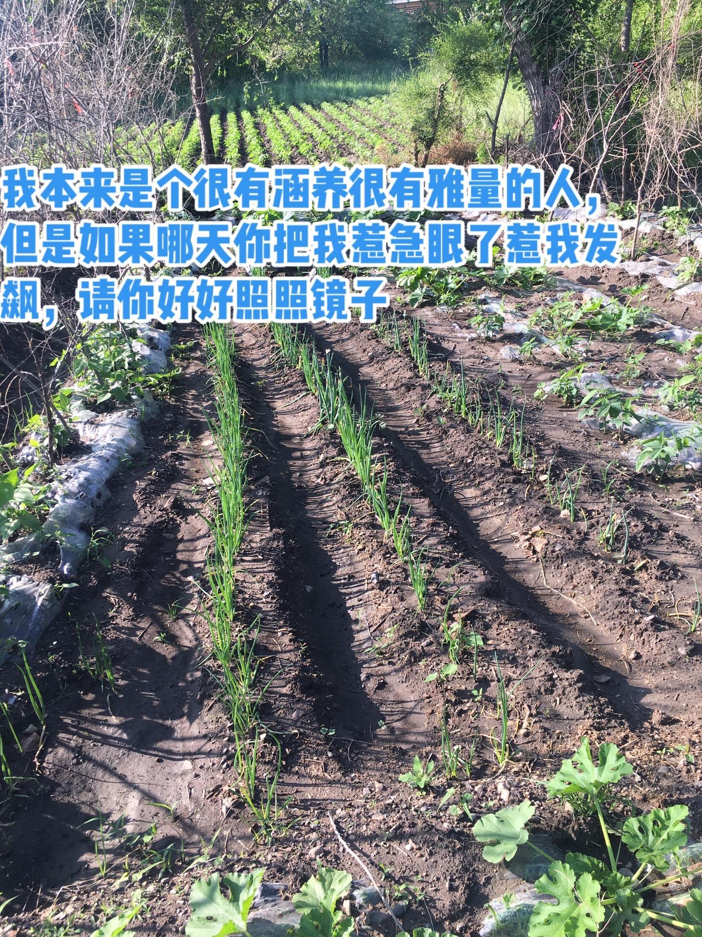 一份耕耘一份收获