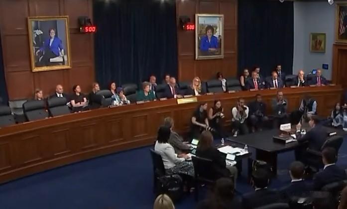 美国国务卿鲁比奥在听证会上突遭抗议者高喊打断，抗议者高喊“以色列实施种族灭绝，你