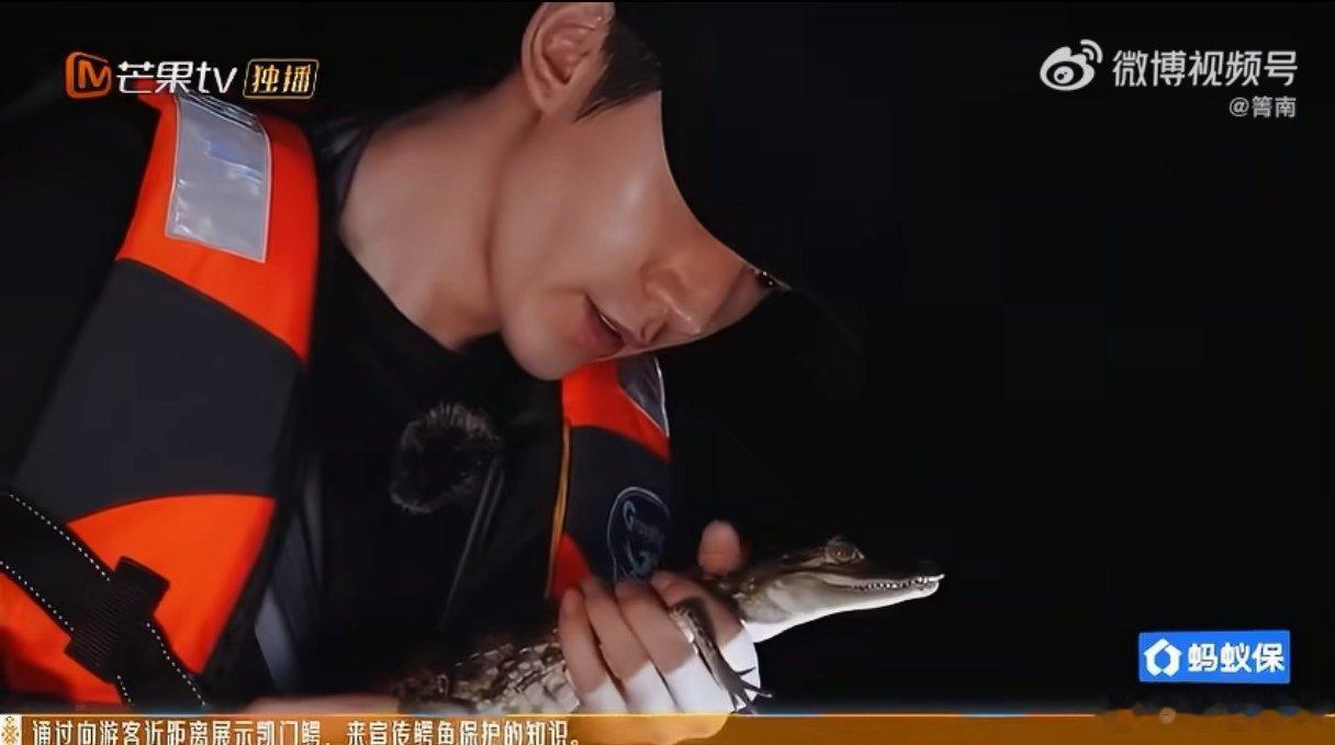 殷桃叫邓为和鳄鱼kiss花儿与少年 花少雨林名场面太有看点！殷桃在线起哄让邓为跟