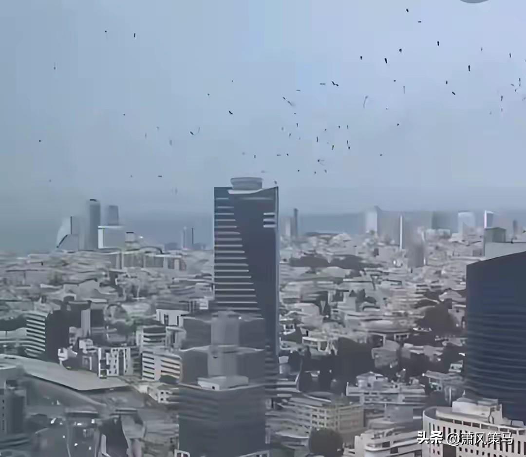 明明专家说这只是春季正常迁徙，城市热岛和食物让它们扎堆，可偏偏赶在以伊局势剑拔弩