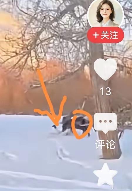 她坠马的时候，一只脚被马登挂住，随后，被马拖行，一下子被拉到了马肚子下面！马蹄狂