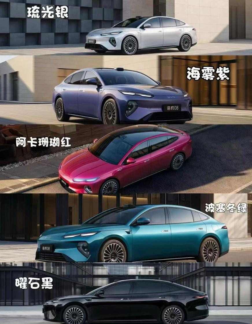 比亚迪海豹08这几个颜色纠结半天了，大家帮我选选
海豹08的配色出来了我看了好几
