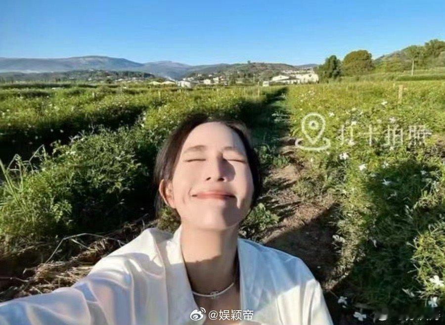 张钧甯太会撩了 被张钧甯的撩人艺术折服！壁咚后的贴贴操作行云流水，强势与甜美完美
