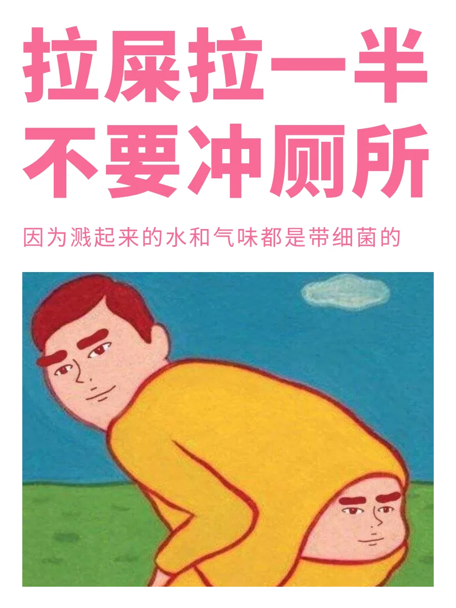 人生建议：拉屎途中别冲厕所