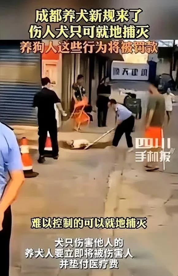 成都养狗新规

真的太敢了！

之前遛狗不牵绳的人这次慌了。

我最认可的就是这