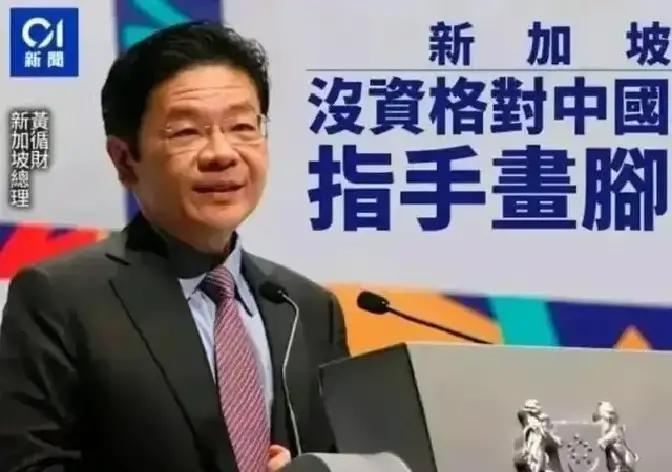万万没想到
万万没想到，中方还没对新加坡总理进行谴责，他就被新加坡政界人士给痛批