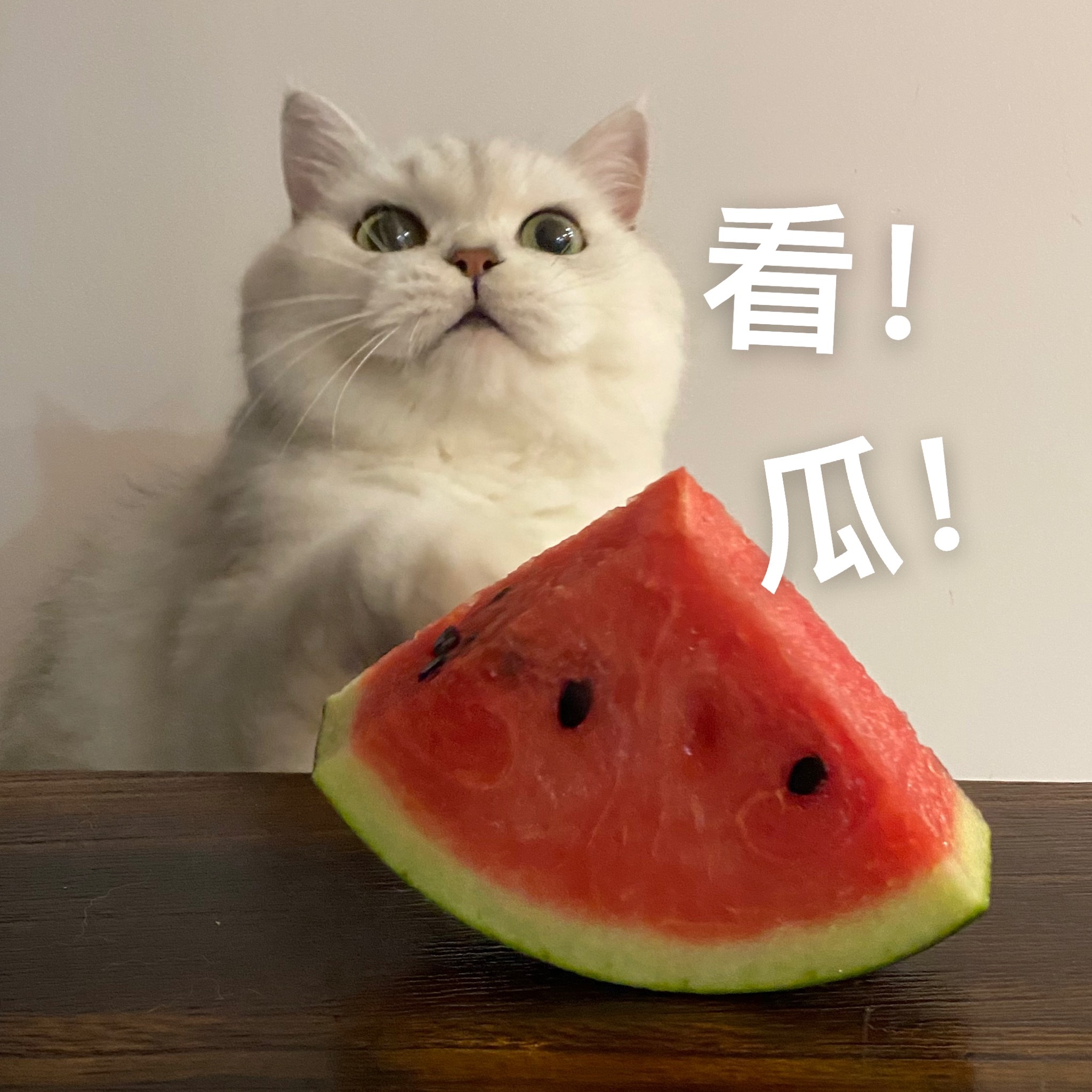 “吃瓜群众表情包，选一个加入第