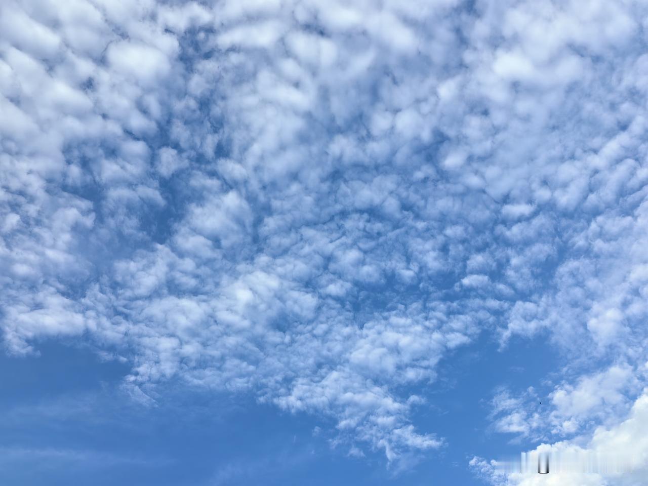 又在视频里看到了张雪峰老师的音容笑貌，这是他与一位叫大冰的主播连线。

大冰有位