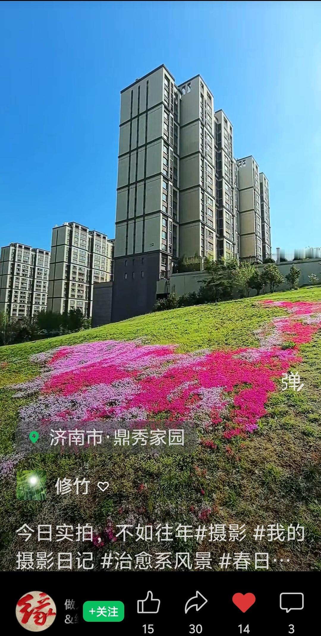 这个小区，通地铁，通高架，依山近水，门前花海是市民春季打卡地。