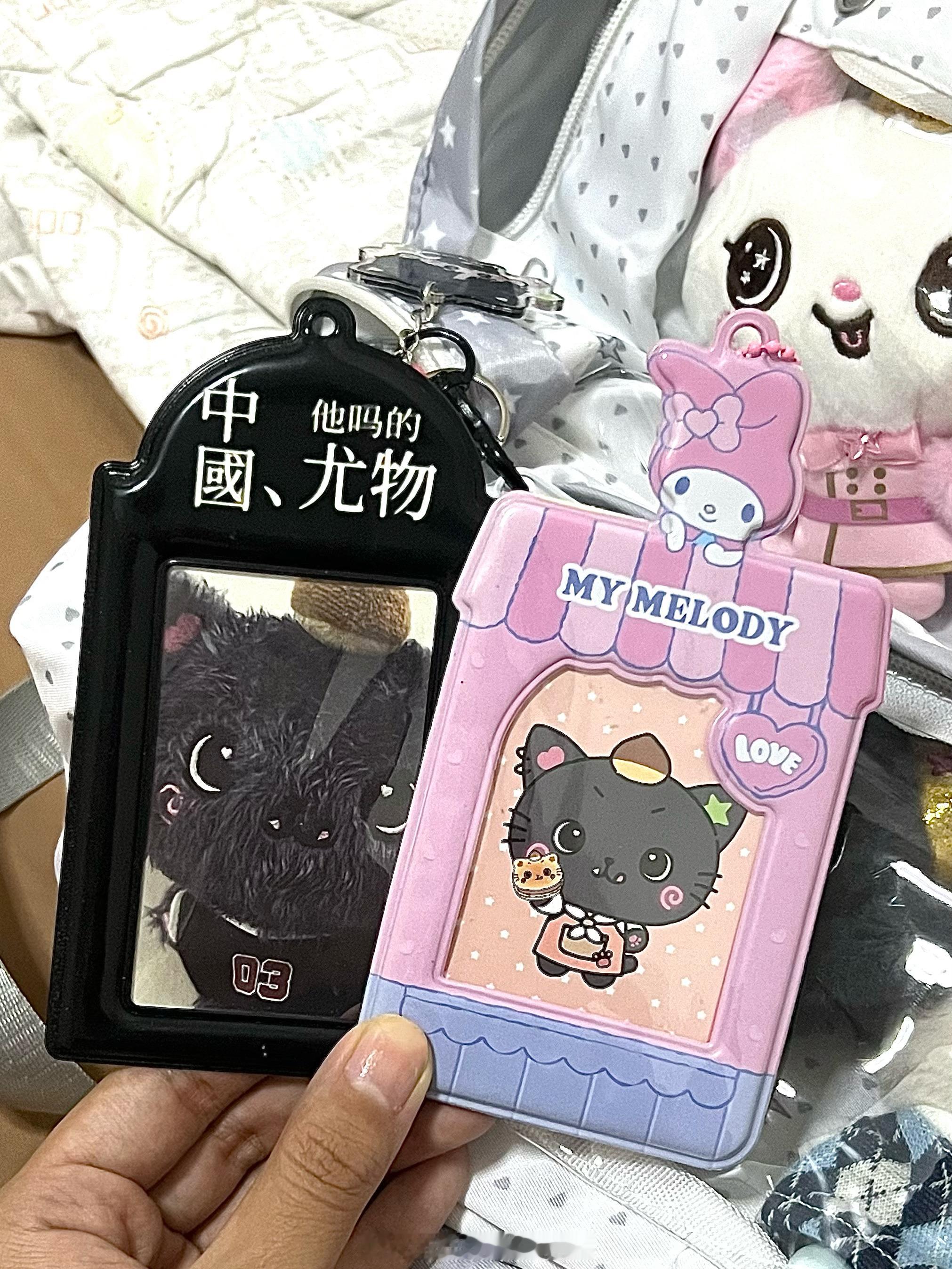 库里狂热女粉丝