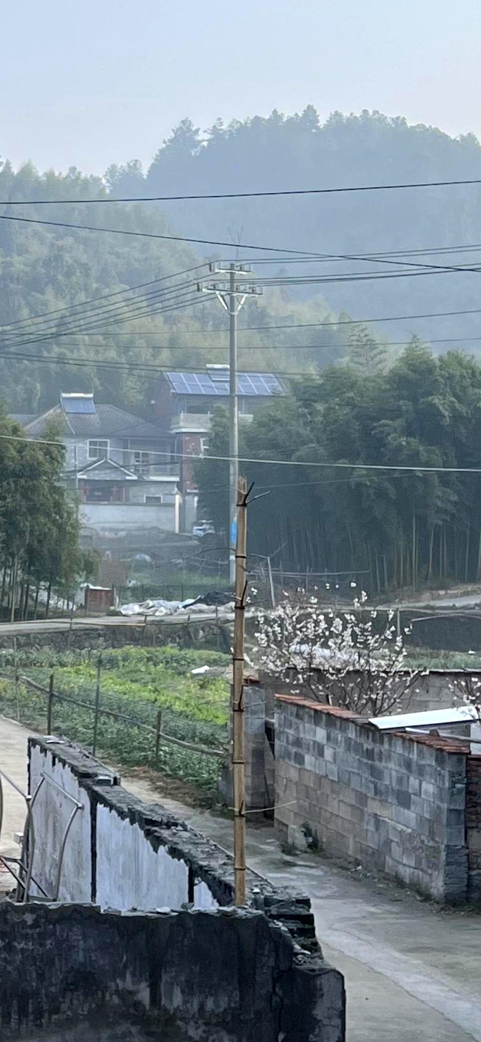 锅里刚起泡，他俩一句“出去吃”，一桌子心血立刻凉透。
买菜的钱、做饭的时间，按他