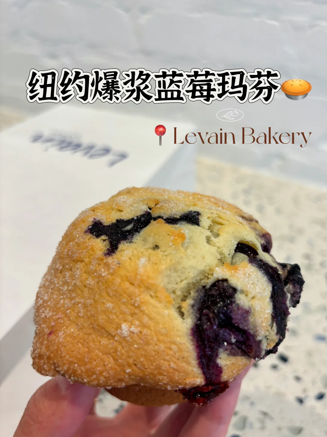 在纽约，找到最好吃的蓝莓爆浆玛芬🥧