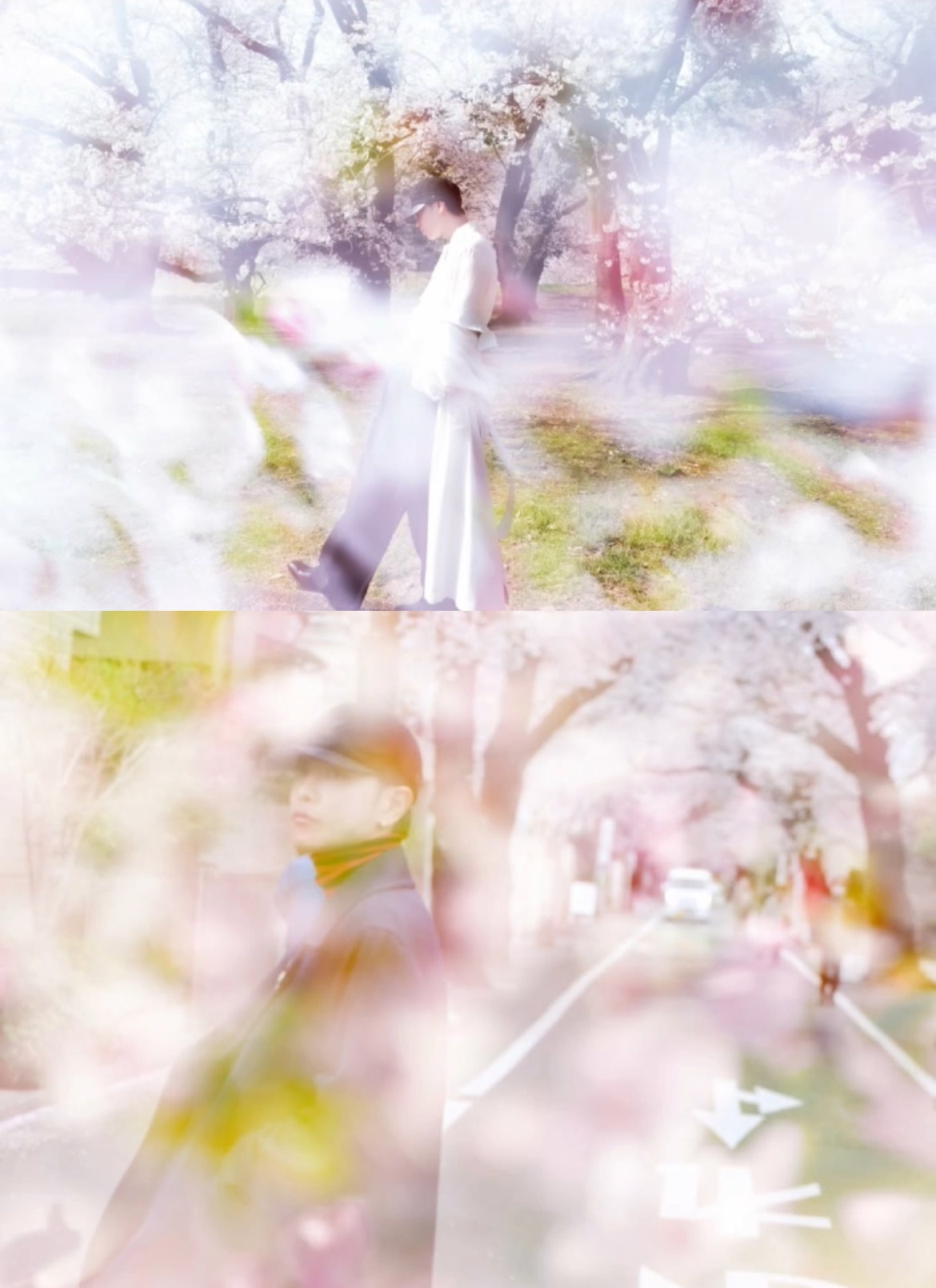 嫌弃自担出图丑的可以感受一下佐藤健发的图嫌弃自担出图丑的可以看看佐藤健