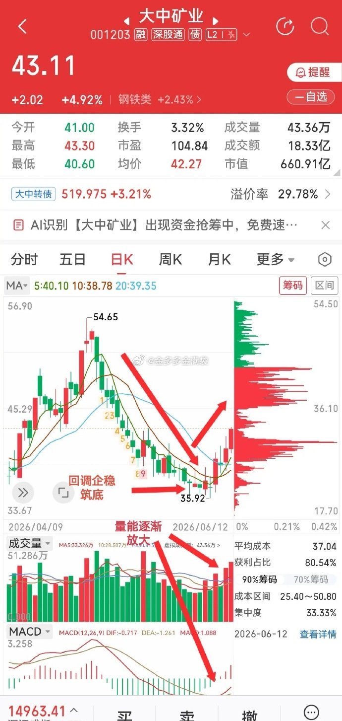 铁矿+锂矿双赛道布局，梳理大中矿业自身资源优势核心竞争力亮点1. 铁矿资源筑牢基