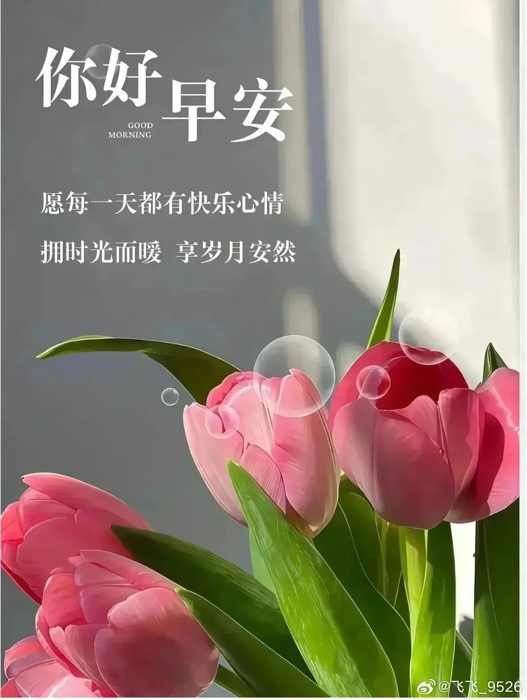 早安，红霞没来凉风来了每天早起打卡