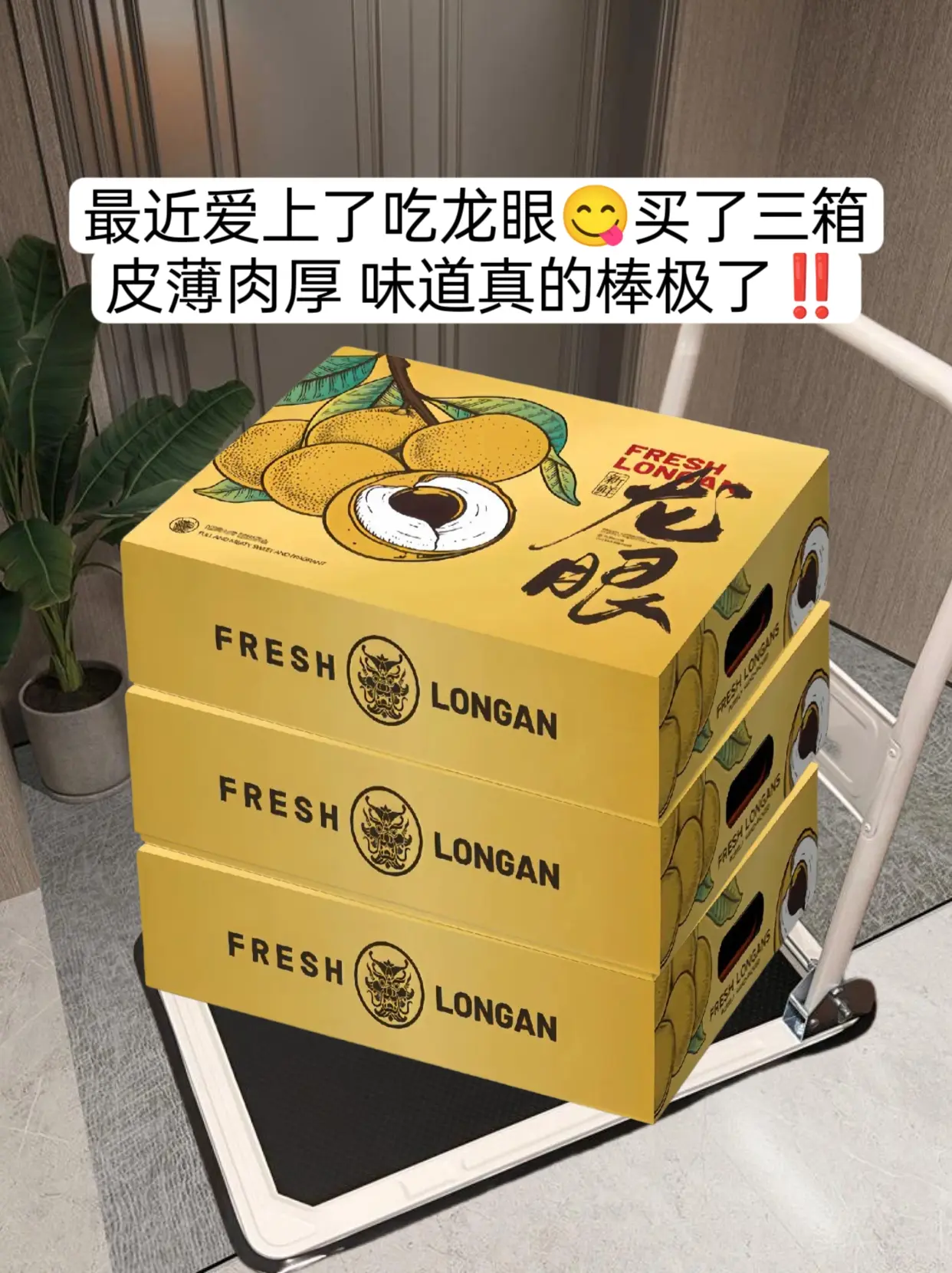 最近爱上了龙眼，是进口来自泰国当季现摘现发的龙眼，水嫩多汁，真的巨好吃...