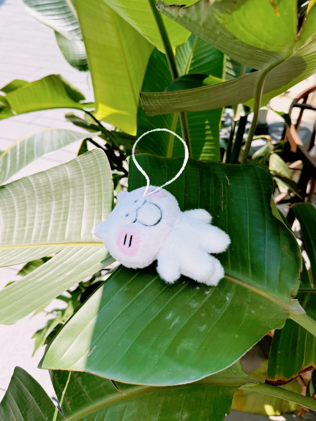 老师，我家孩子能当童模吗