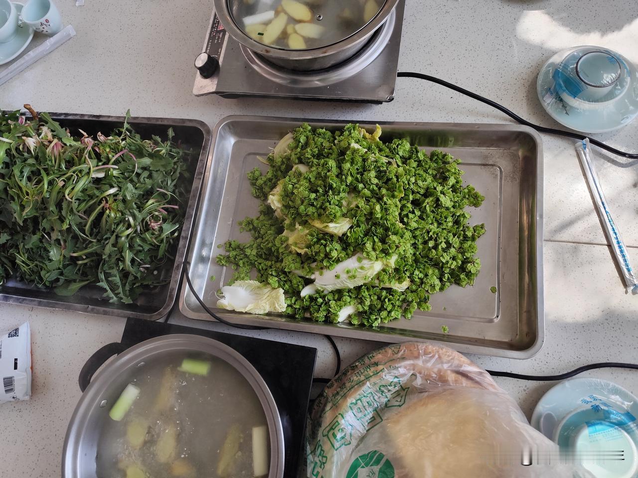 春天到了，来乡野里采一些野菜，煮纯野菜火锅吃。蒲公英、榆钱、金盏菊、荠菜、毛毛菜