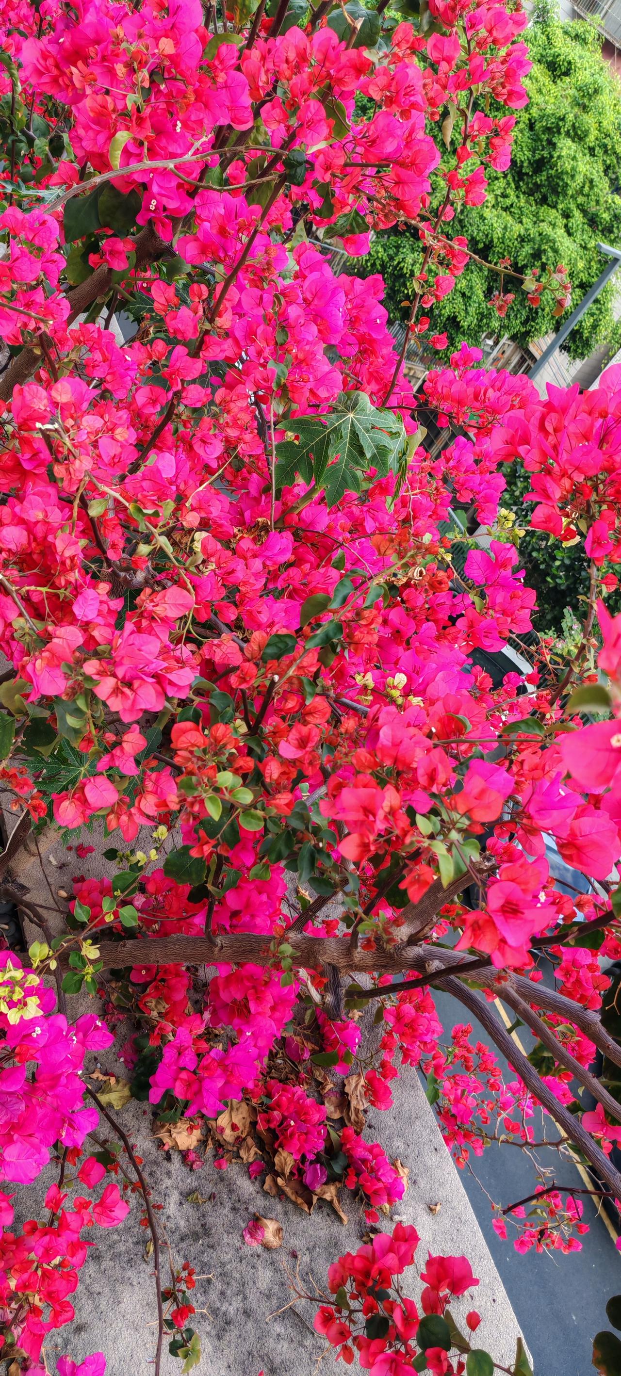 音乐中家国主题歌词，能直接唤起人们内心深处的家国情感。真是热血沸腾[赞][赞][