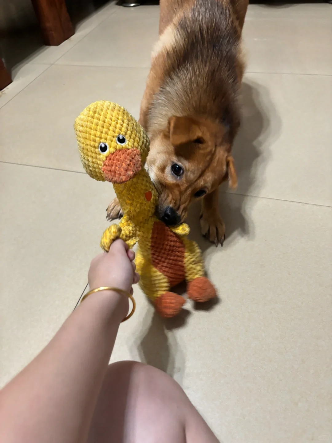 谁敢闻