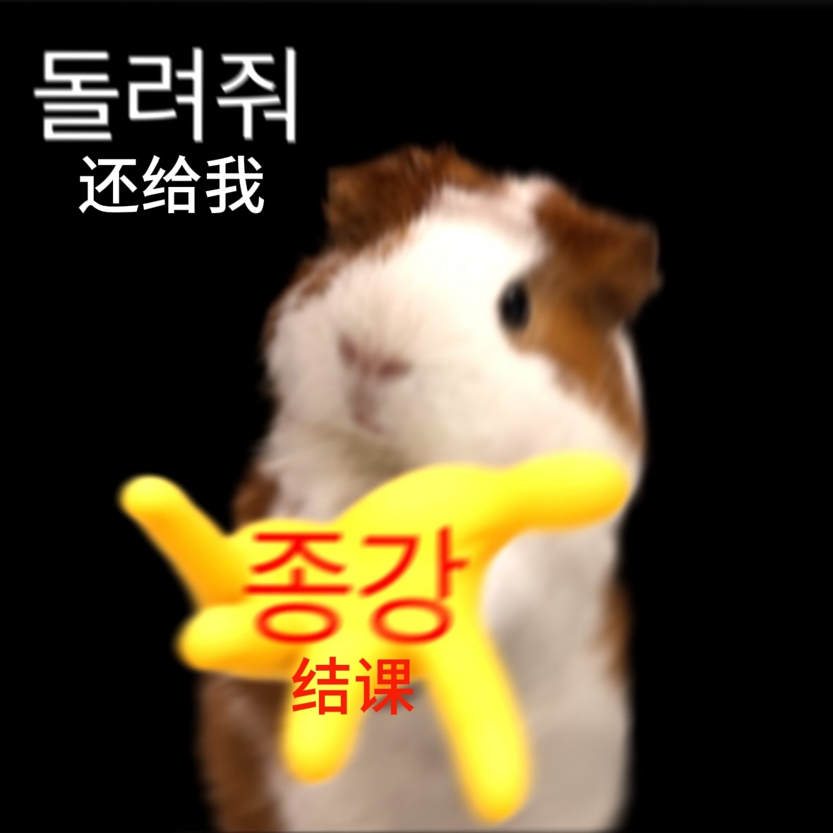 还给我🤲 ​​​