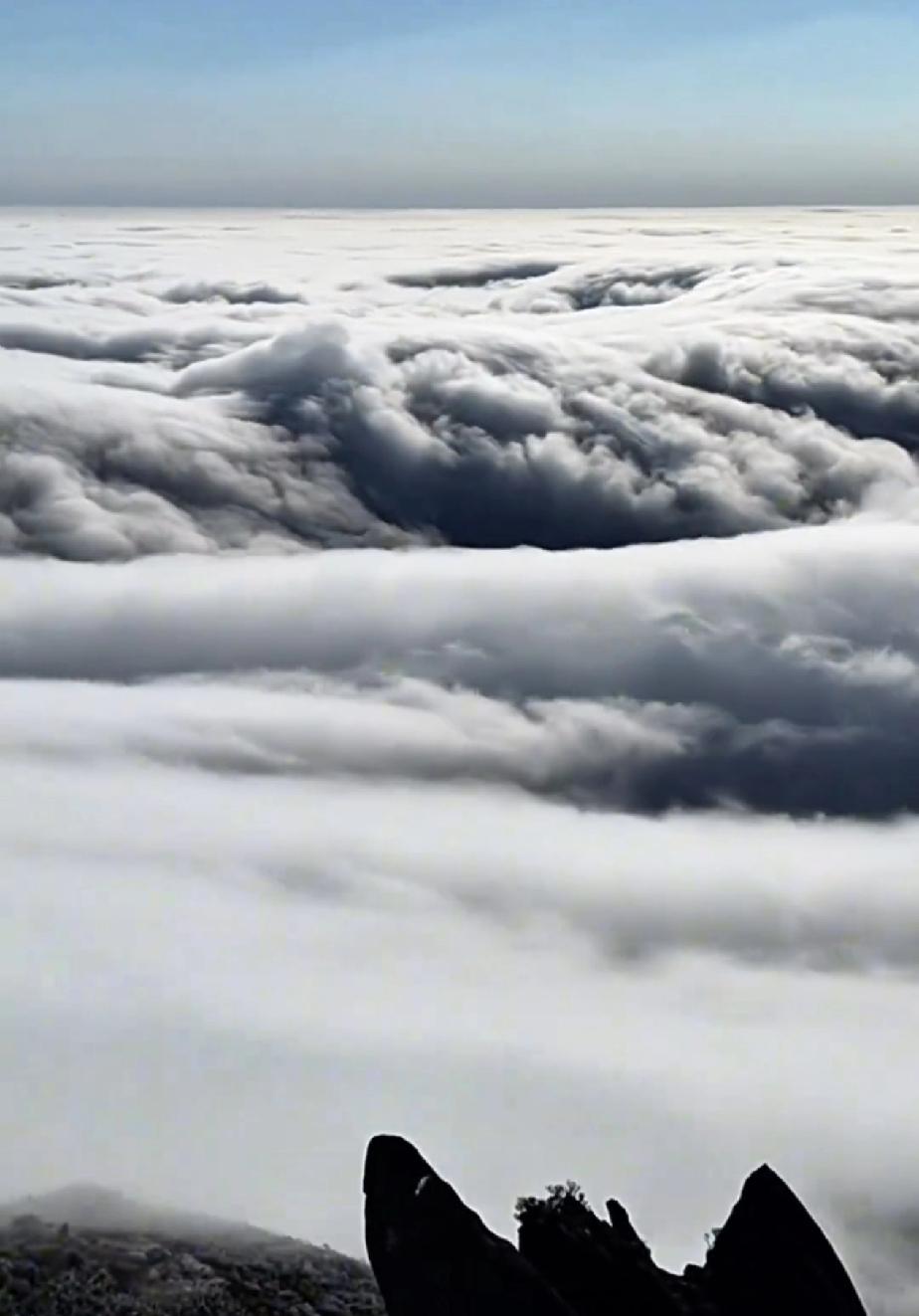 你不花时间去创造你想要的生活，那就得花时间去应付你不想要的那些现实。
你的现在都