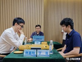 《2026.9.5围棋赛事：烂柯杯8强战，刘宇航负李维清，许嘉阳胜丁浩》 围棋 