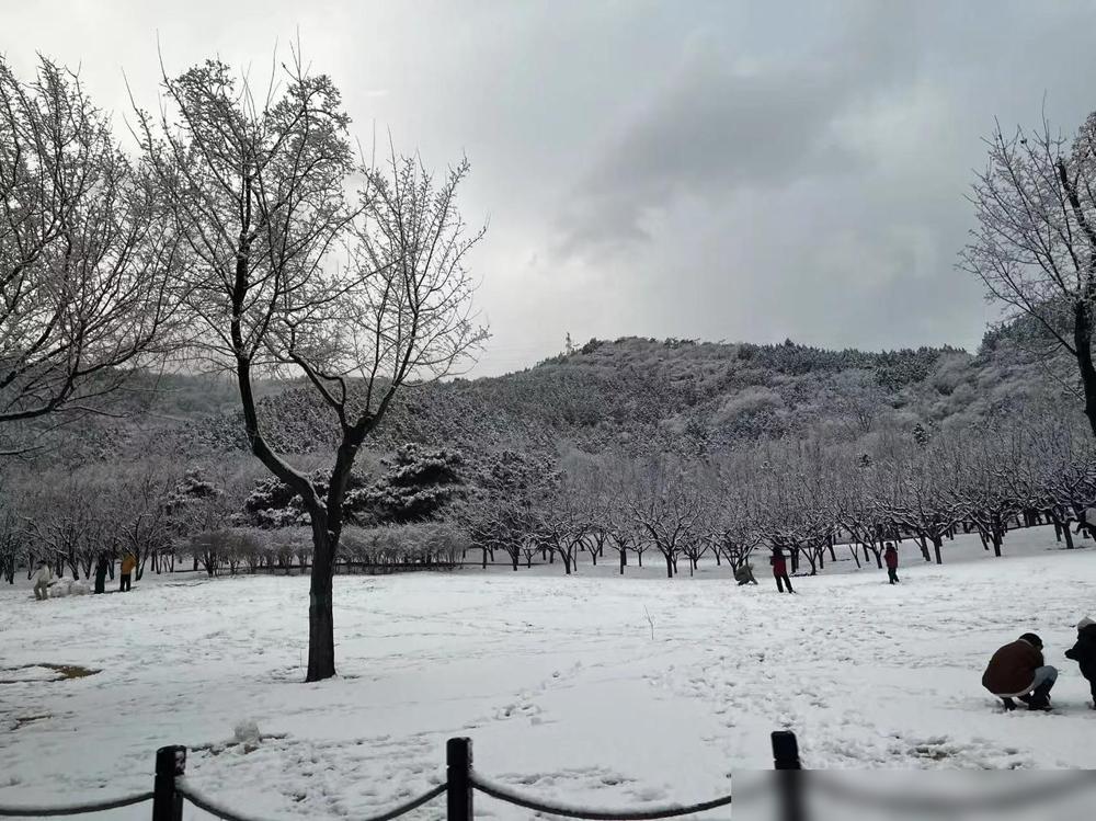 京郊的春雪来得太浪漫！昨天刷到怀柔喇叭沟门乡的雪景，积雪没过脚踝，整个村庄银装素