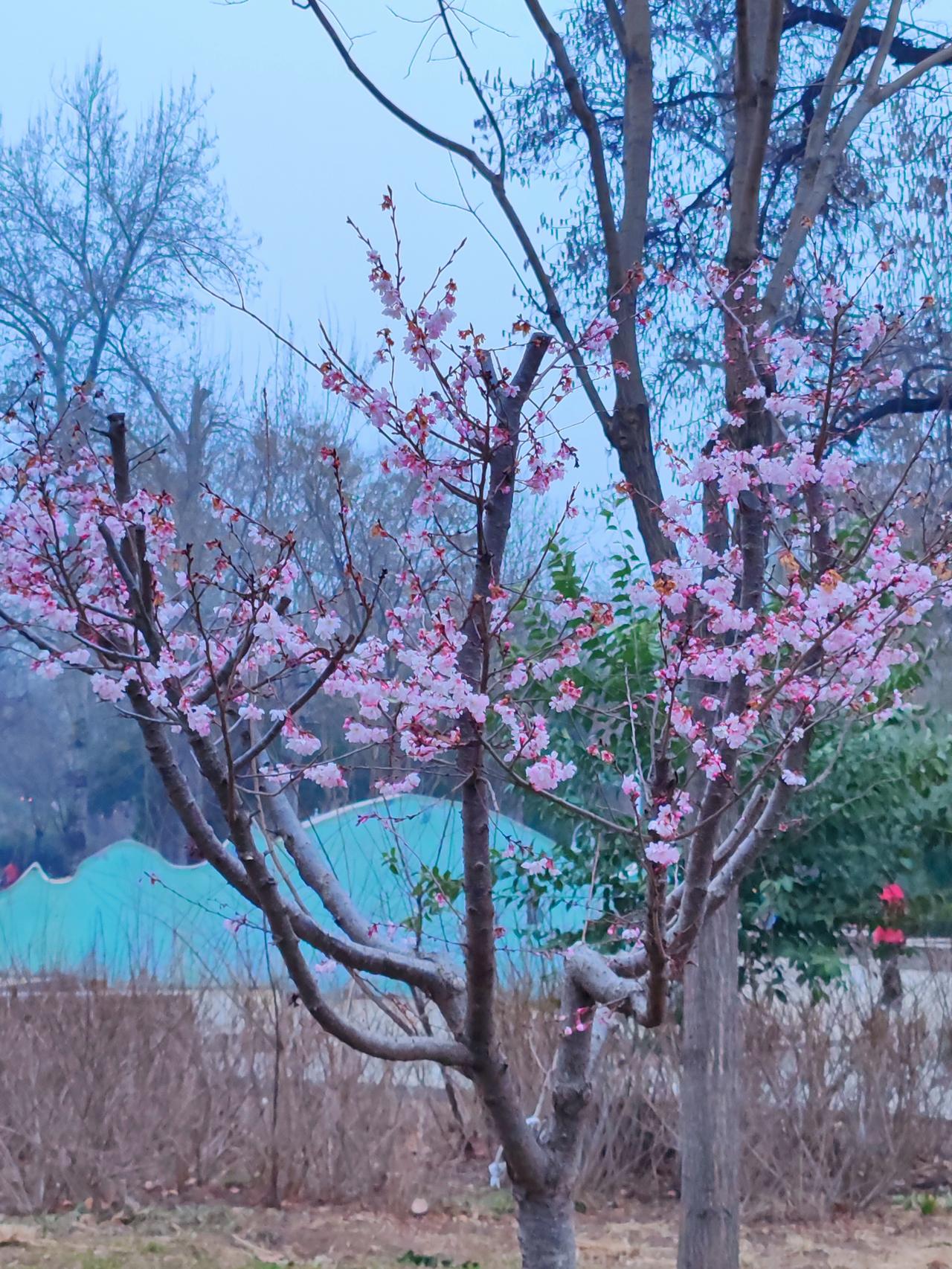 穷帮穷，富帮富，不穷不富各走各的路。正所谓人以类聚，物以群分。穷人通常热情好客，