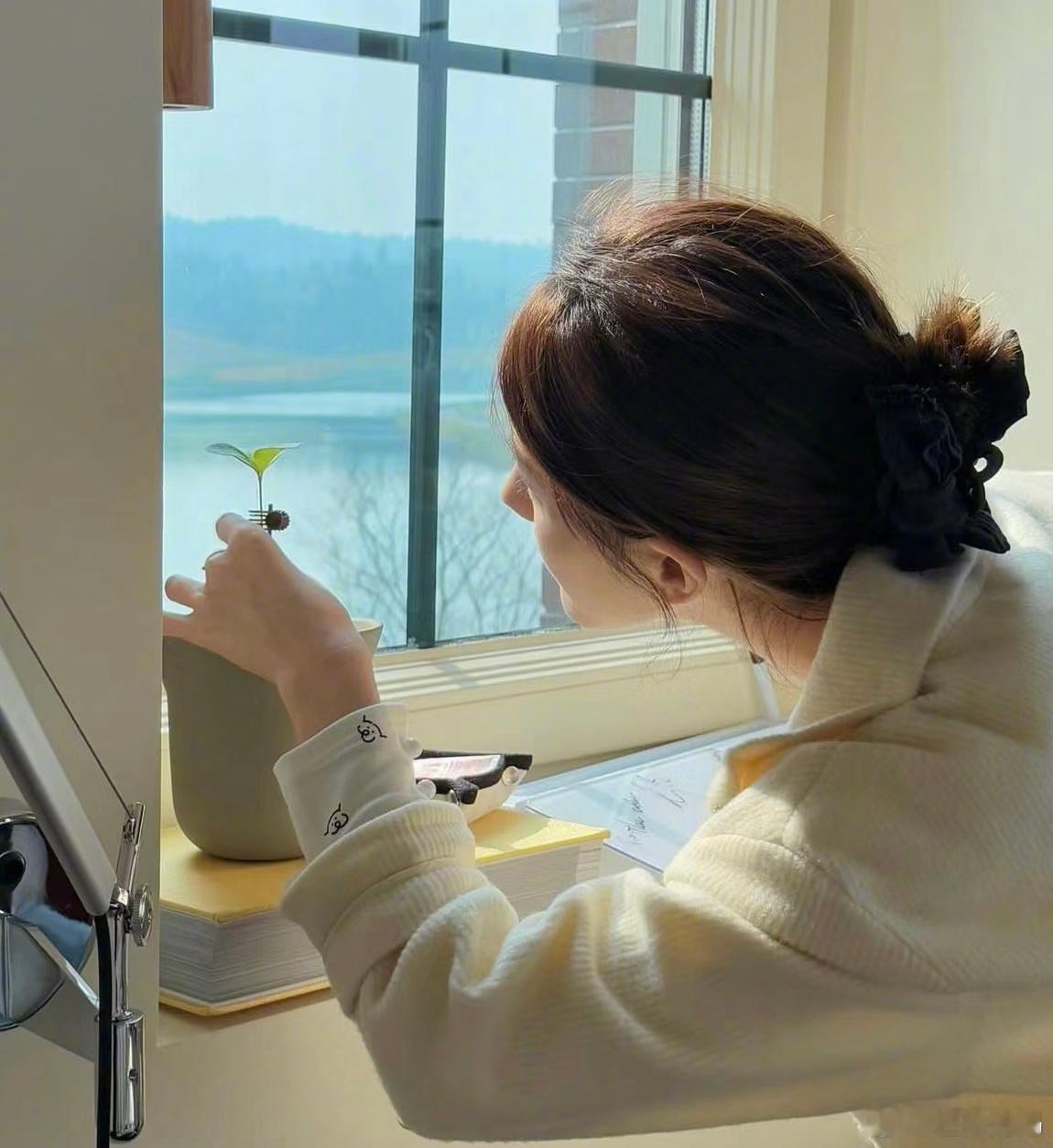赵露思晒休养日常  看到萌芽的生命力！！🌱 