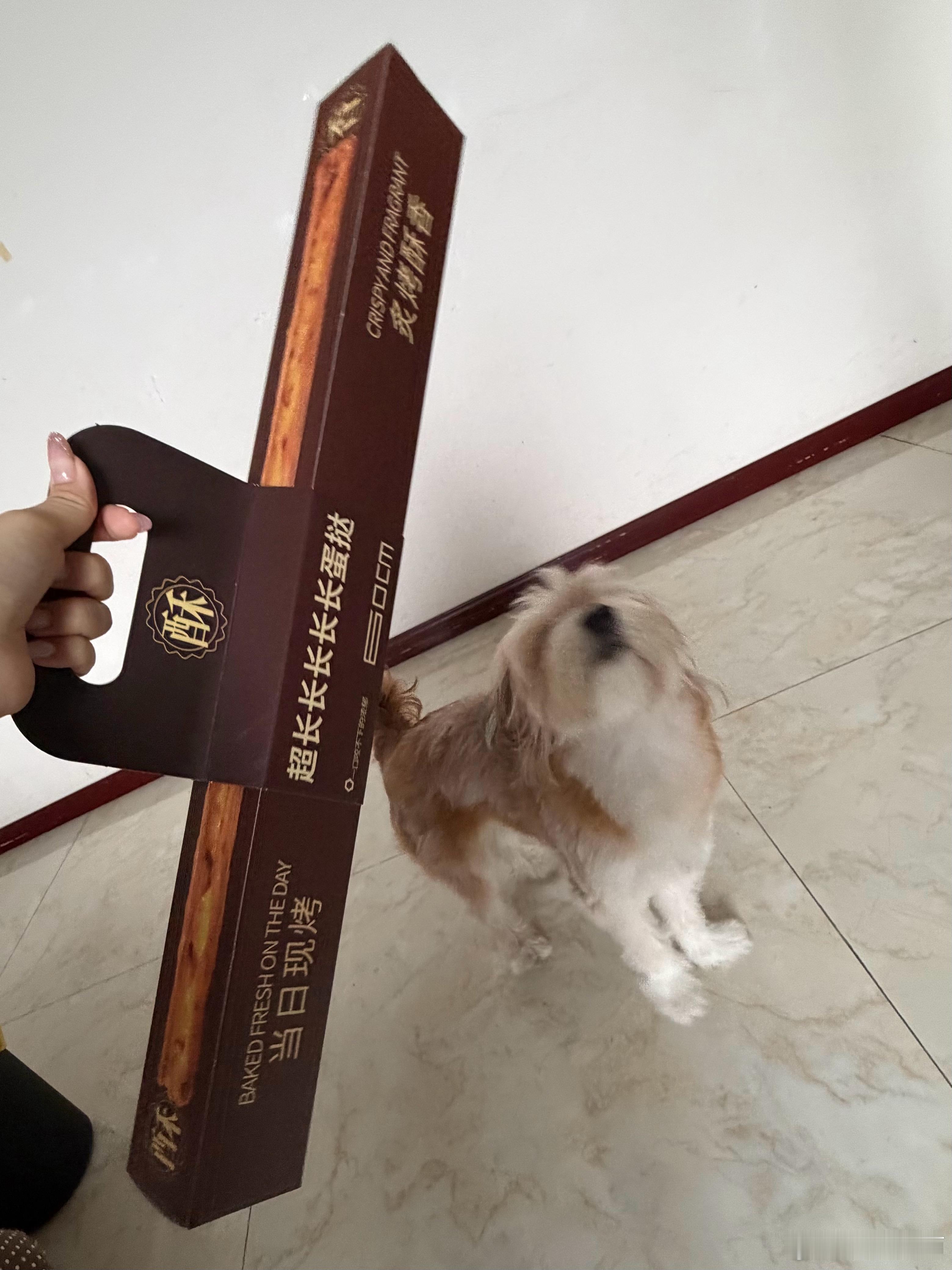 来吧跟风一下[流鼻血] ​​​