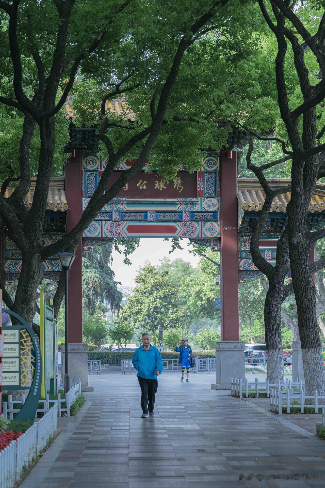 我的夏花｜城边古园 绣球如期盛开

绣球公园依着南京老城墙而建，是老城一隅安静雅
