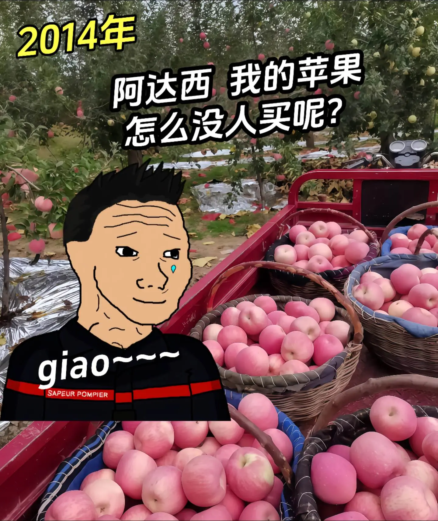当你第一次看见 阿giao！无人扶我青云志，我自giao giao踏山巅