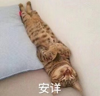 朋友们，我刚刚才知道，YouTube是可以自动加字幕并翻译的🙉天晓得我之前听英