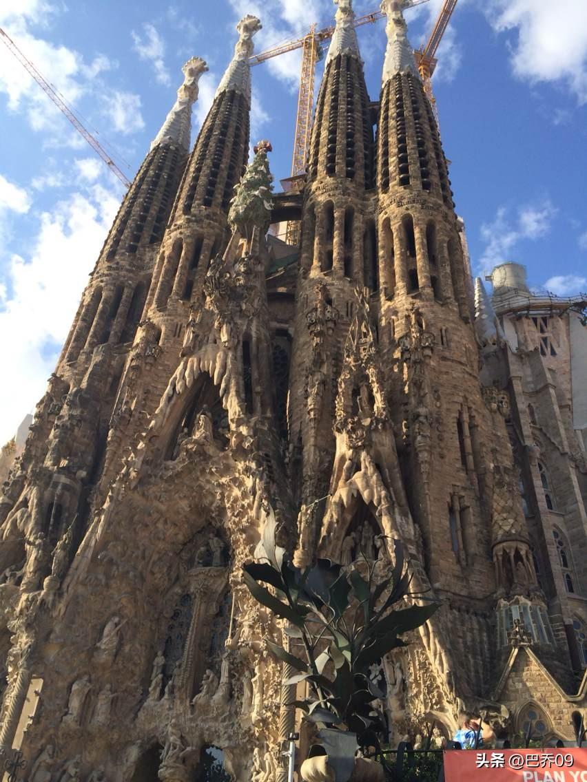 🔥 张雪峰留给普通人的10句清醒箴言（句句扎心）
 
1. 家里没矿别谈理想，