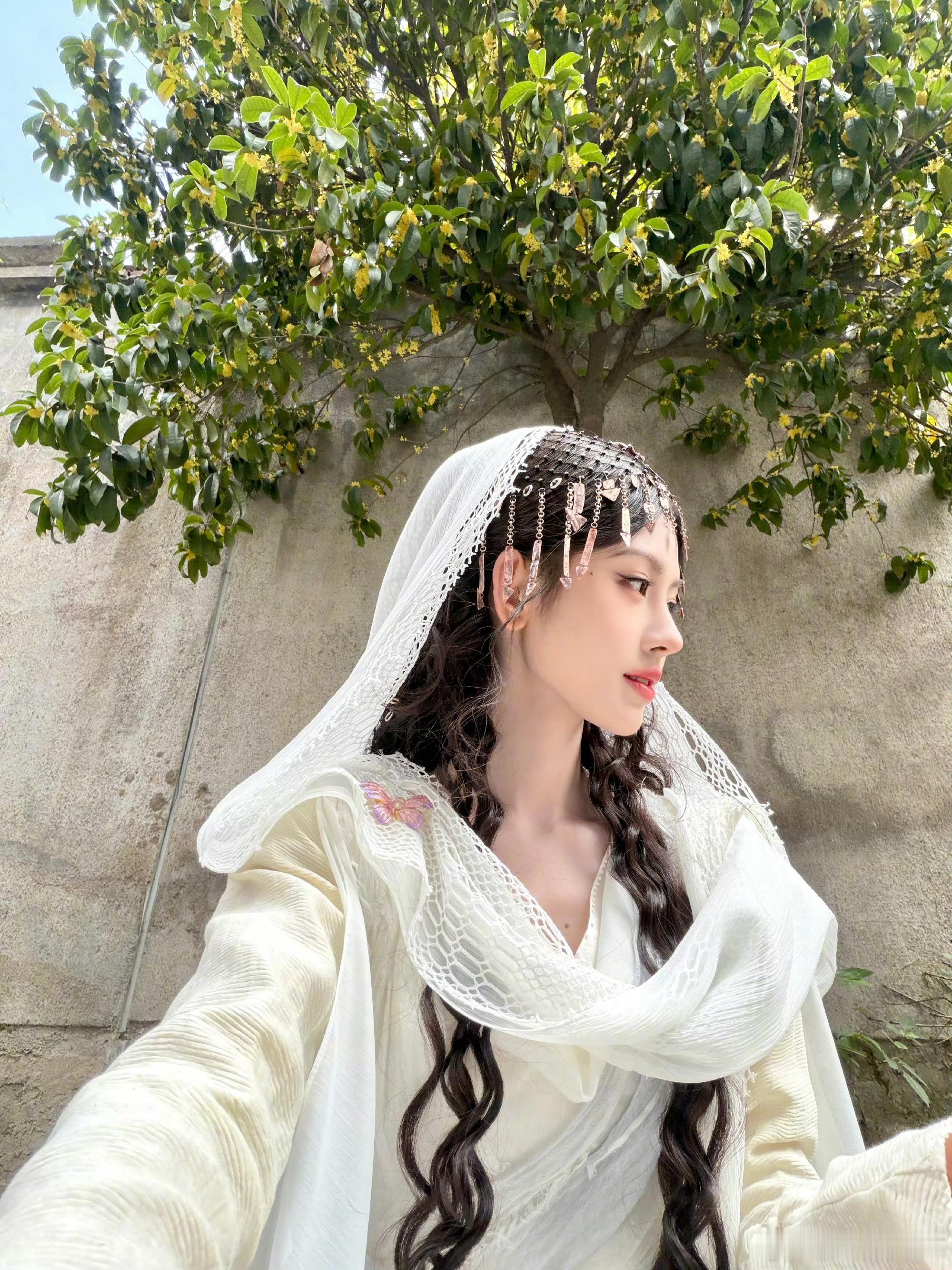 鞠婧祎 jjy鞠婧祎苏绿夏 jjy鞠婧祎万花世界 “年年有今日 岁岁有今朝 年年