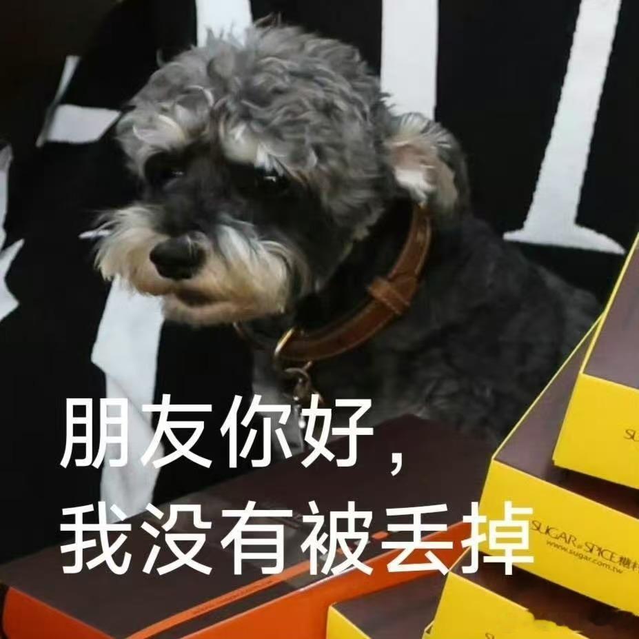 刘呆米 | 刘宇宁 昨天小齐哥这波投喂，特产堆起来都快把哥哥埋起来了，我们女明星