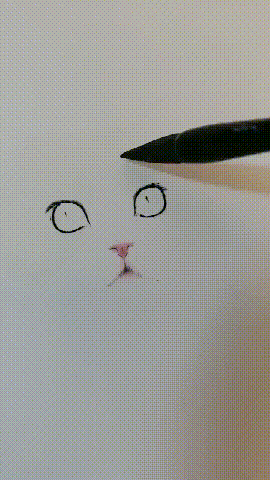 #猫猫#家有懒猫，生活从此慢半拍
都说猫咪是高冷的主子，可我家这位，简直是懒出了